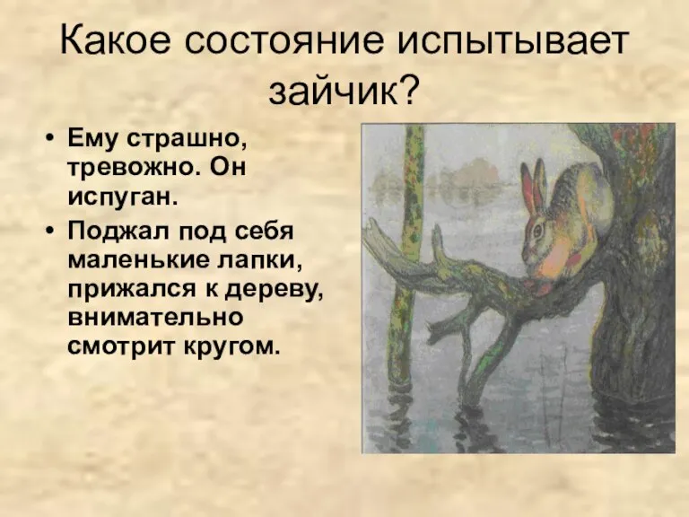 Какое состояние испытывает зайчик? Ему страшно, тревожно. Он испуган. Поджал под себя