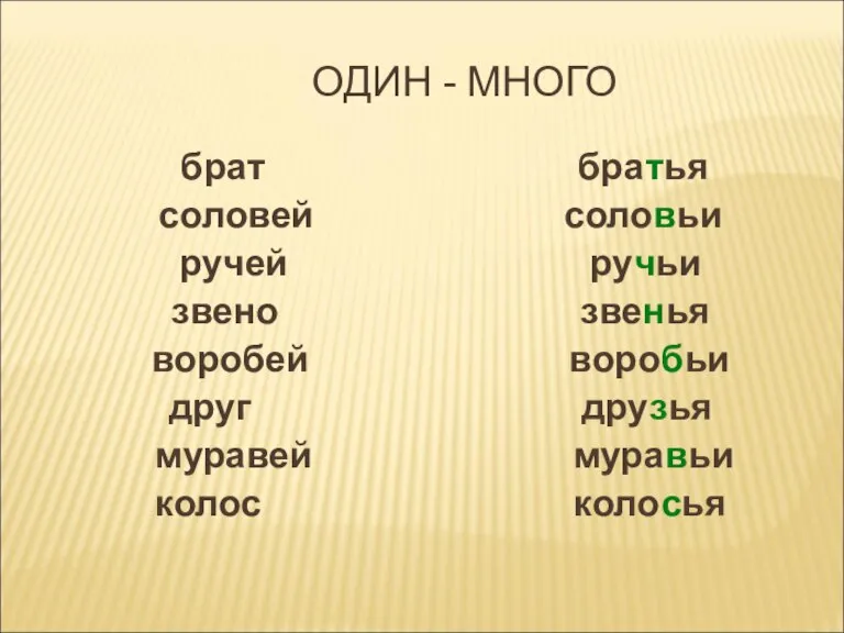 ОДИН - МНОГО брат братья соловей соловьи ручей ручьи звено звенья воробей