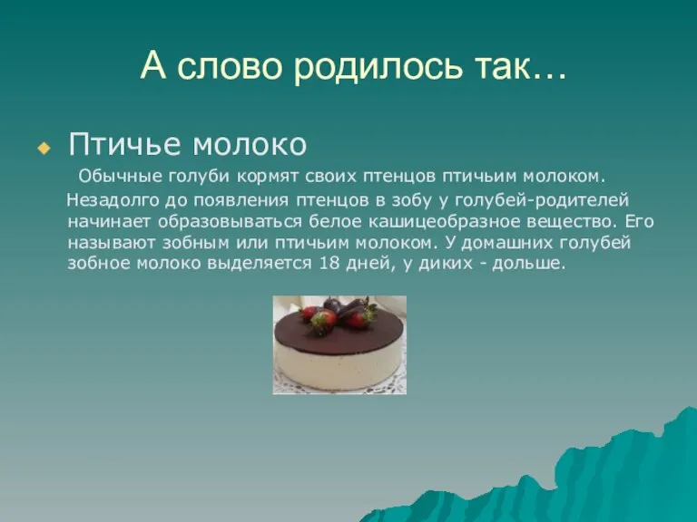 А слово родилось так… Птичье молоко Обычные голуби кормят своих птенцов птичьим