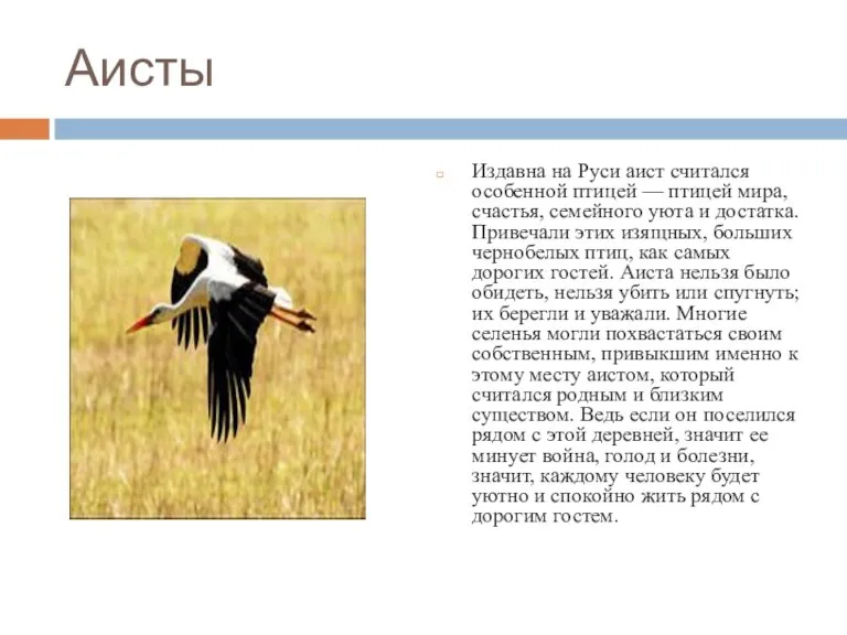 Аисты Издавна на Руси аист считался особенной пти­цей — птицей мира, счастья,