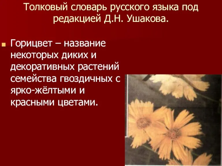 Толковый словарь русского языка под редакцией Д.Н. Ушакова. Горицвет – название некоторых