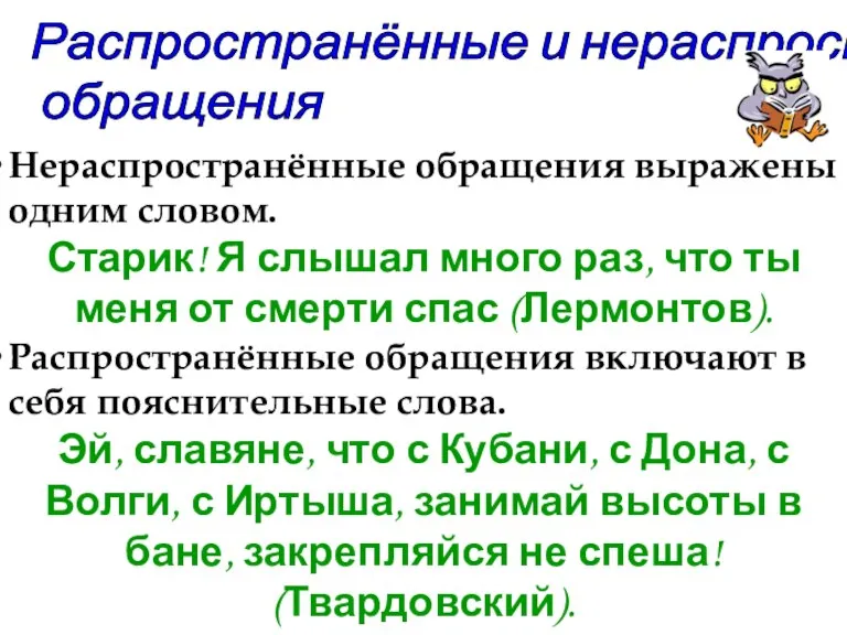 Распространённые и нераспространённые обращения Нераспространённые обращения выражены одним словом. Старик! Я слышал