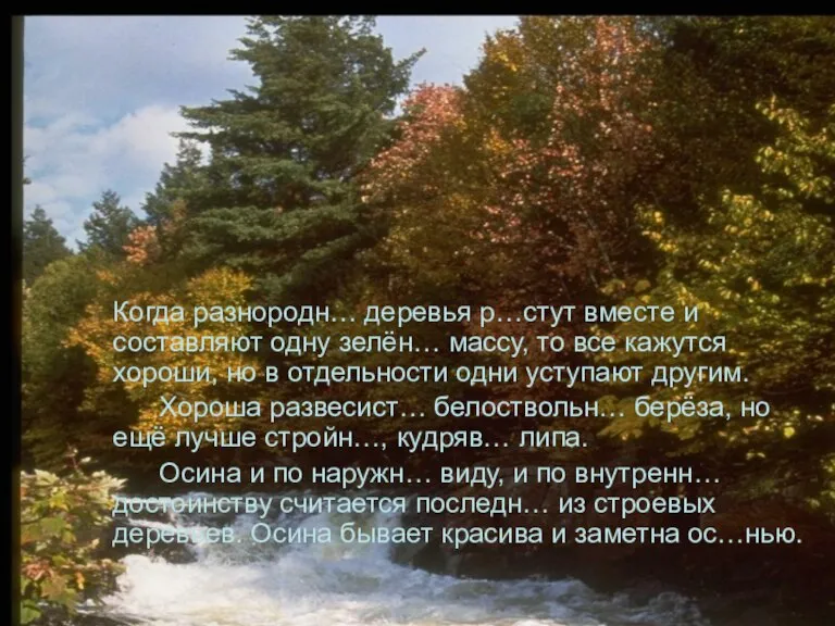 Когда разнородн… деревья р…стут вместе и составляют одну зелён… массу, то все