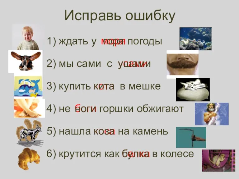 белка коса боги ноги кота усами моря Исправь ошибку 1) ждать у