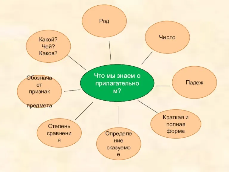 Что мы знаем о прилагательном? Какой? Чей? Каков? Род Число Падеж Обозначает