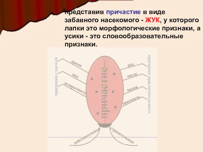 представив причастие в виде забавного насекомого - ЖУК, у которого лапки это