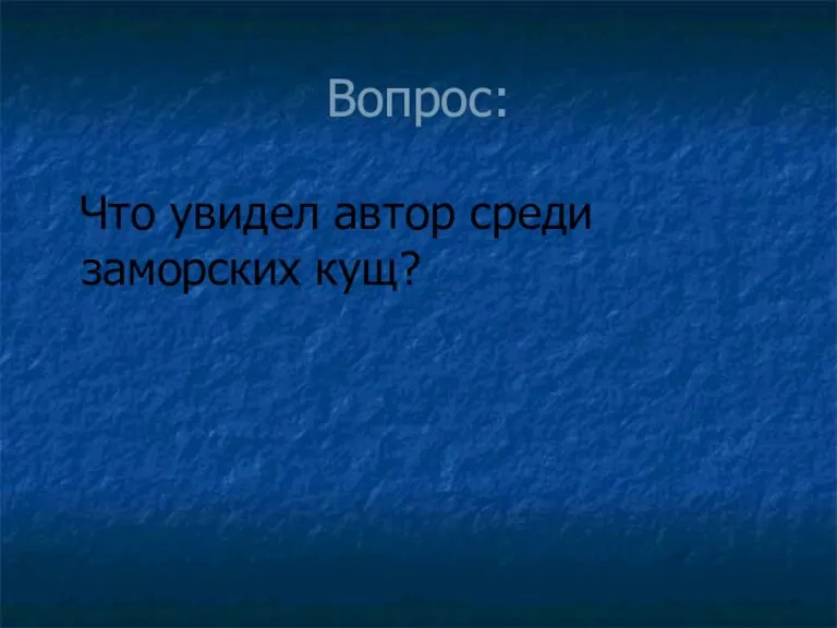 Вопрос: Что увидел автор среди заморских кущ?