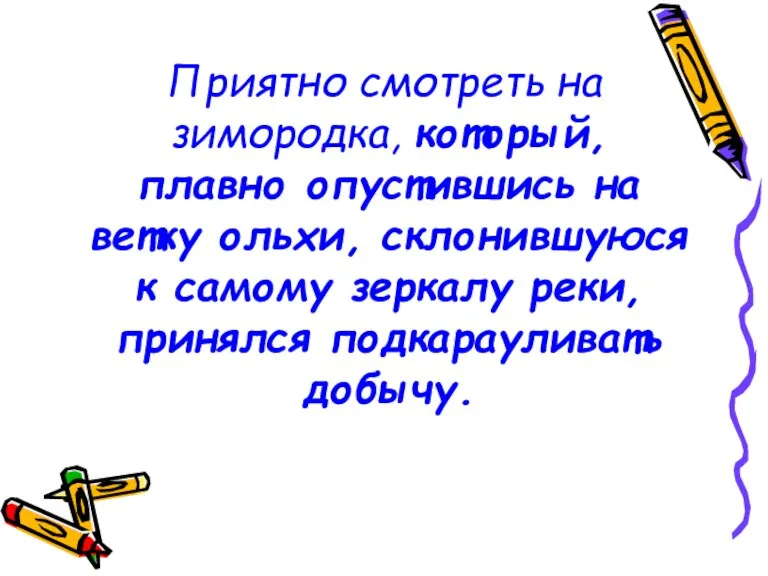 Приятно смотреть на зимородка, который, плавно опустившись на ветку ольхи, склонившуюся к