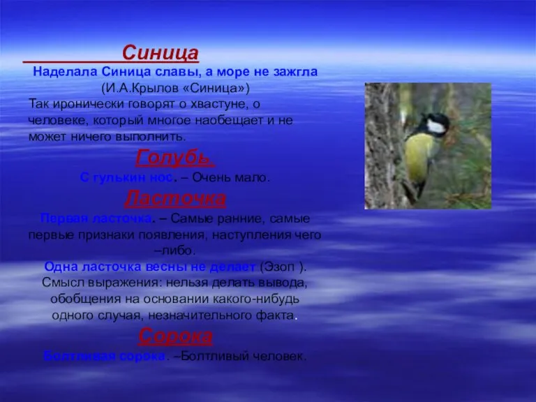 Синица Наделала Синица славы, а море не зажгла (И.А.Крылов «Синица») Так иронически