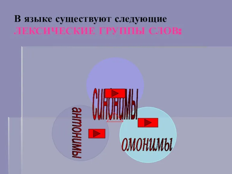 В языке существуют следующие ЛЕКСИЧЕСКИЕ ГРУППЫ СЛОВ: синонимы антонимы омонимы