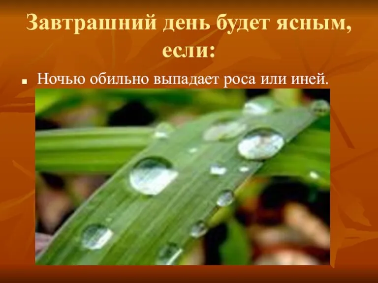 Завтрашний день будет ясным, если: Ночью обильно выпадает роса или иней.