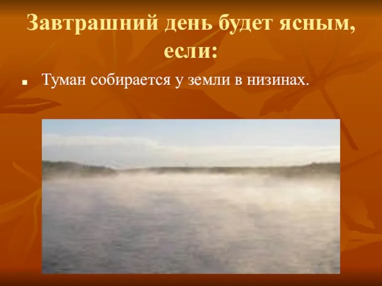 Завтрашний день будет ясным, если: Туман собирается у земли в низинах.