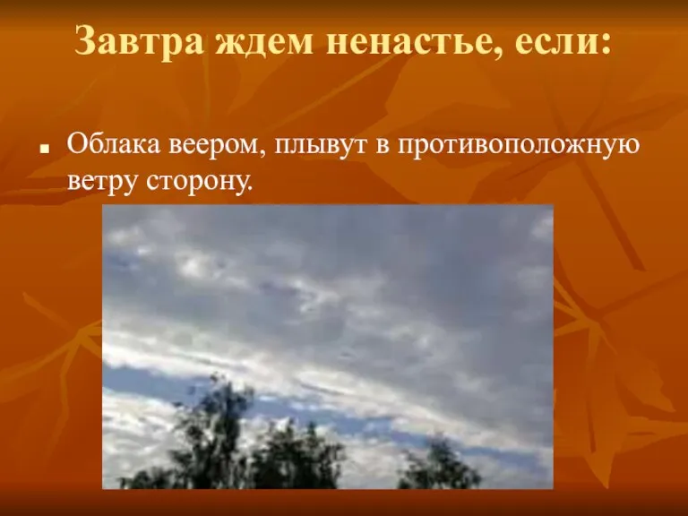 Завтра ждем ненастье, если: Облака веером, плывут в противоположную ветру сторону.