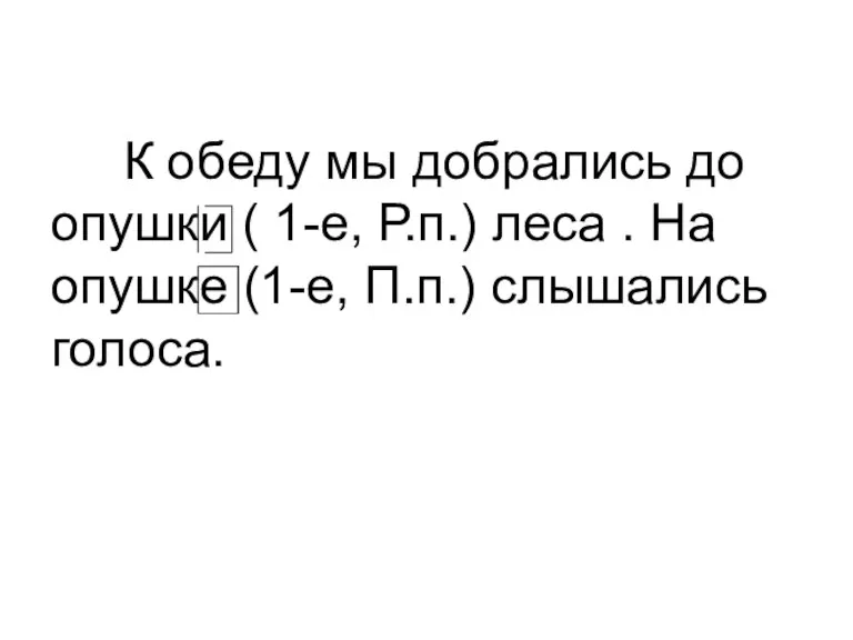 К обеду мы добрались до опушки ( 1-е, Р.п.) леса . На