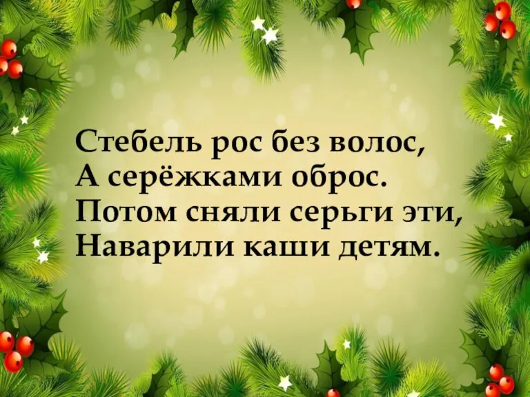 Стебель рос без волос, А серёжками оброс. Потом сняли серьги эти, Наварили каши детям.