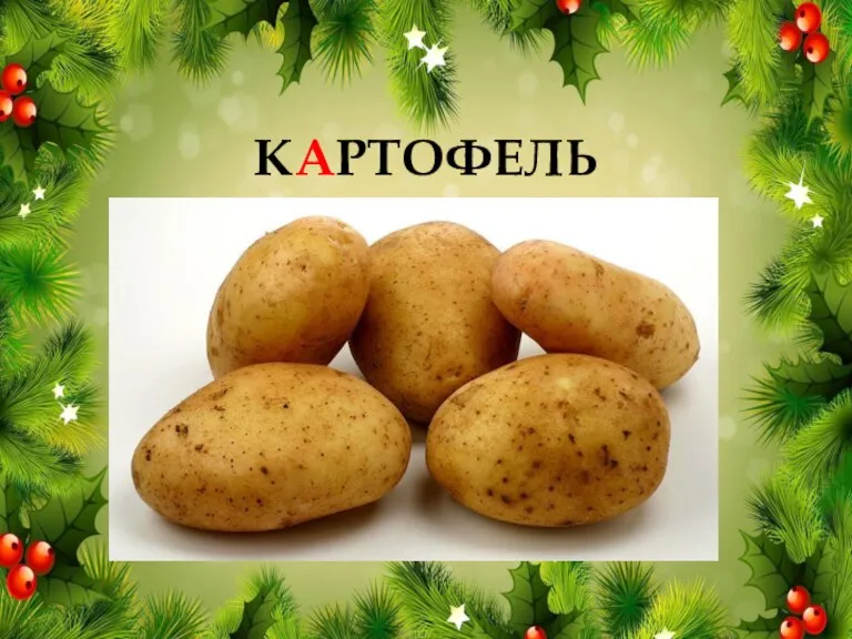 КАРТОФЕЛЬ