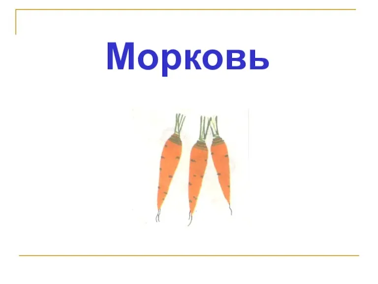 Морковь