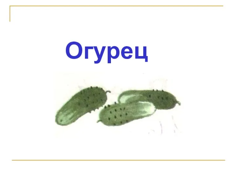 Огурец