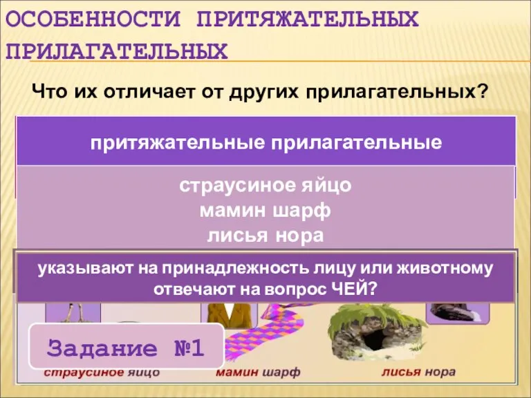 качественные прилагательные относительные прилагательные притяжательные прилагательные притяжательные прилагательные страусиное яйцо мамин шарф