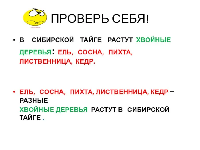 ПРОВЕРЬ СЕБЯ! В СИБИРСКОЙ ТАЙГЕ РАСТУТ ХВОЙНЫЕ ДЕРЕВЬЯ: ЕЛЬ, СОСНА, ПИХТА, ЛИСТВЕННИЦА,