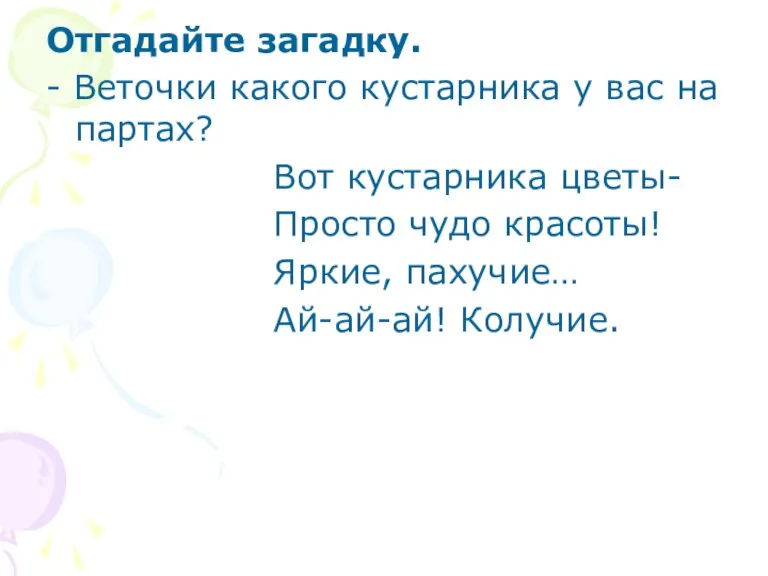 Отгадайте загадку. - Веточки какого кустарника у вас на партах? Вот кустарника