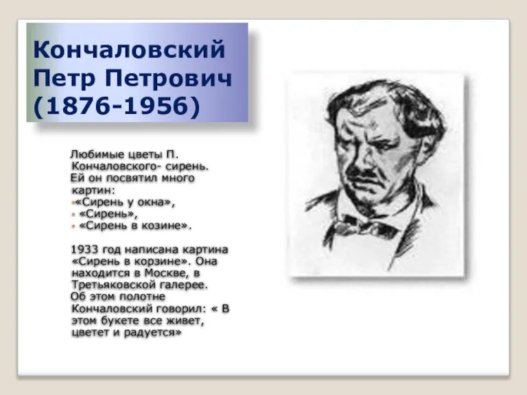 Кончаловский Петр Петрович (1876-1956) Любимые цветы П.Кончаловского- сирень. Ей он посвятил много