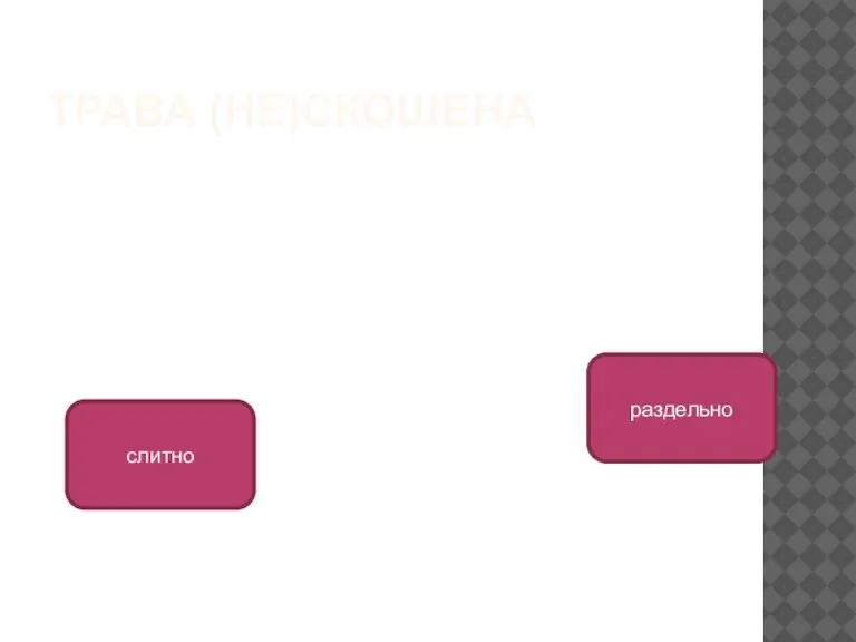 ТРАВА (НЕ)СКОШЕНА раздельно слитно