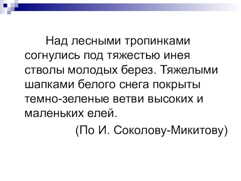 Над лесными тропинками согнулись под тяжестью инея стволы молодых берез. Тяжелыми шапками