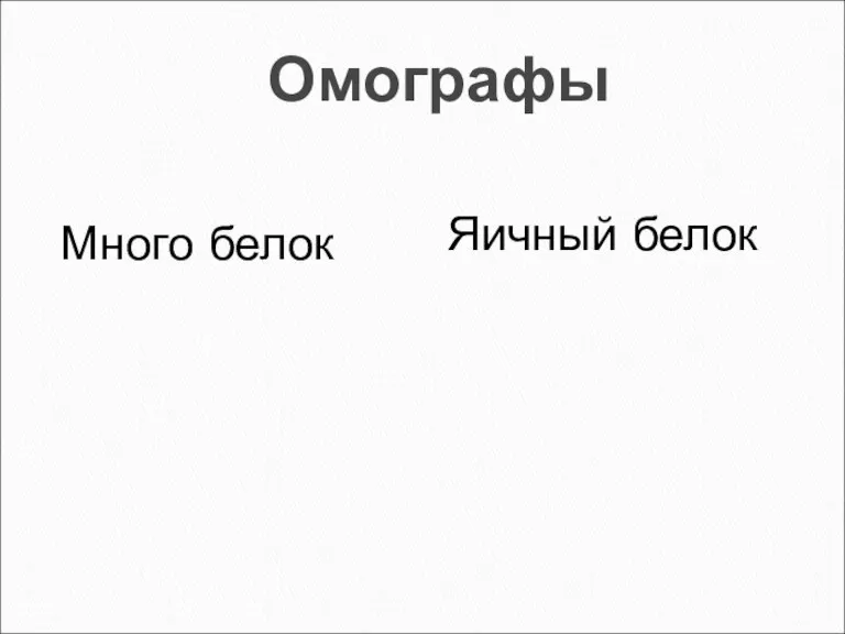 Омографы Много белок Яичный белок