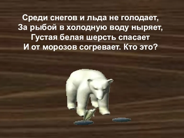 Среди снегов и льда не голодает, За рыбой в холодную воду ныряет,