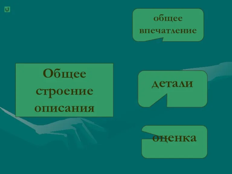 Общее строение описания общее впечатление детали оценка