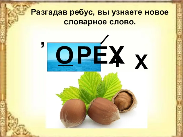 Разгадав ребус, вы узнаете новое словарное слово. РЕХ О