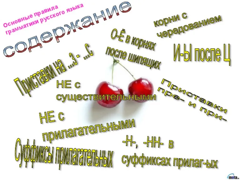 содержание корни с чередованием Основные правила грамматики русского языка О-Ё в корнях