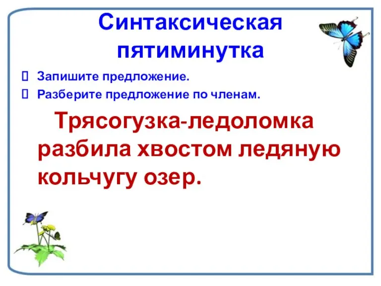 Синтаксическая пятиминутка Запишите предложение. Разберите предложение по членам. Трясогузка-ледоломка разбила хвостом ледяную кольчугу озер.