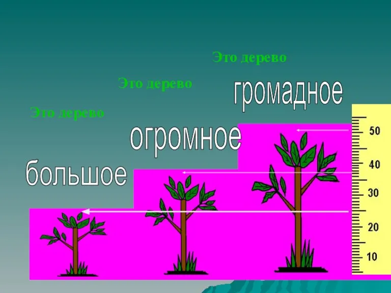 Это дерево большое огромное громадное Это дерево Это дерево