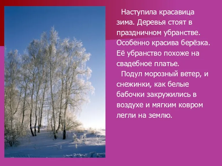 Наступила красавица зима. Деревья стоят в праздничном убранстве. Особенно красива берёзка. Её