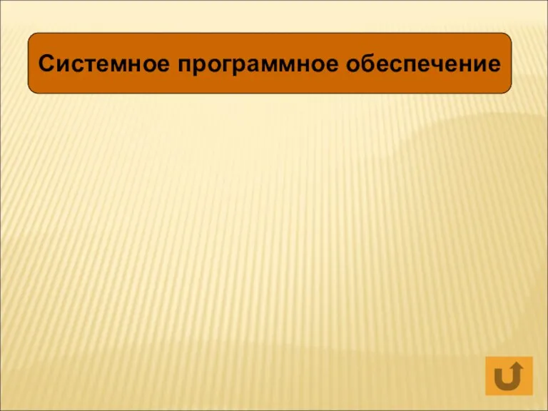 Системное программное обеспечение