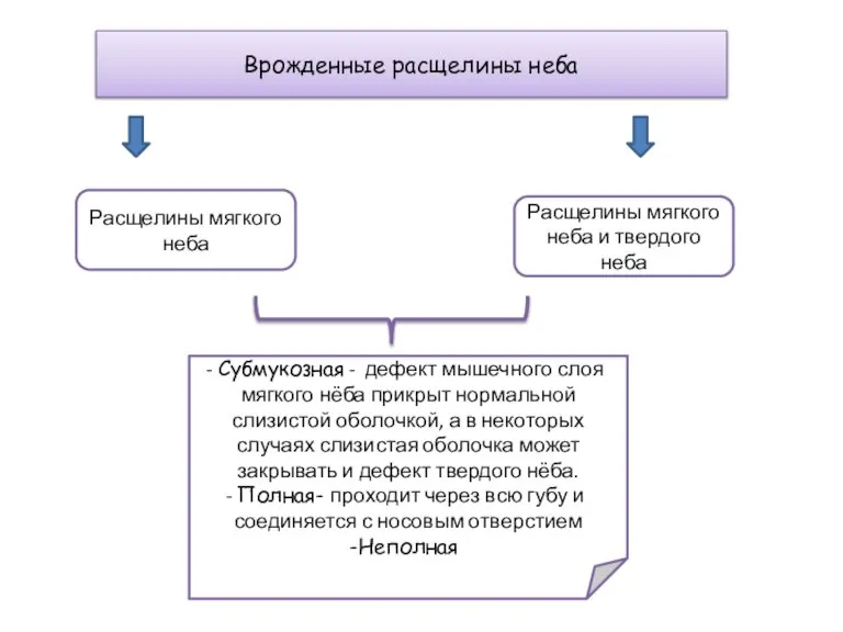 Врожденные расщелины неба Расщелины мягкого неба Расщелины мягкого неба и твердого неба