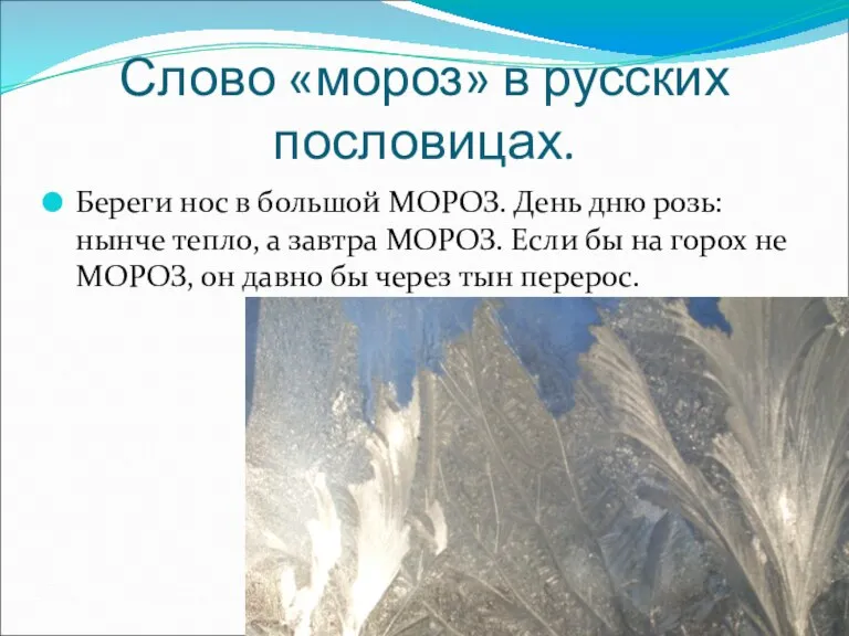 Слово «мороз» в русских пословицах. Береги нос в большой МОРОЗ. День дню