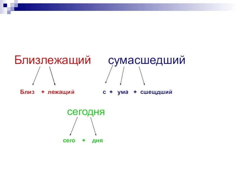 Близлежащий сумасшедший Близ + лежащий с + ума + сшещдший сегодня сего + дня