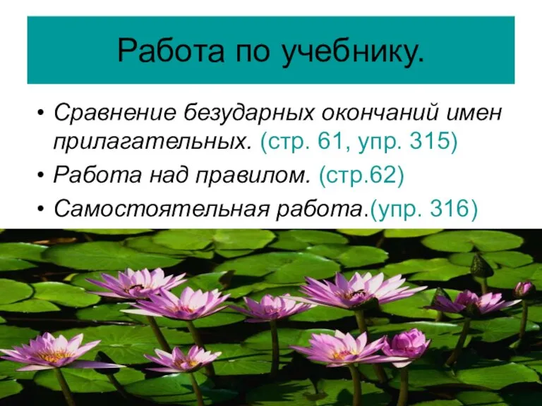 Работа по учебнику. Сравнение безударных окончаний имен прилагательных. (стр. 61, упр. 315)