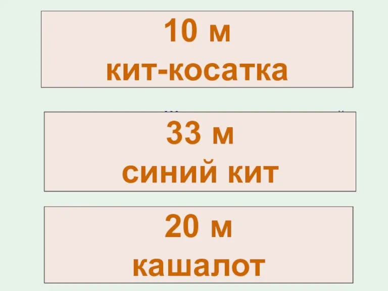 Длинное ухо, комочек пуха, прыгает ловко, любит морковку. Шелестя, шурша травой, Проползает