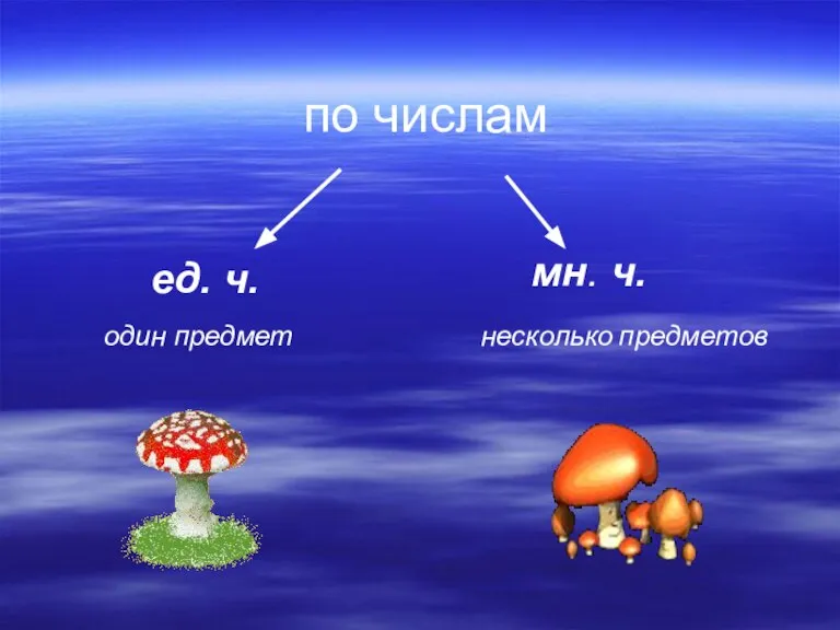 по числам ед. ч. мн. ч. один предмет несколько предметов