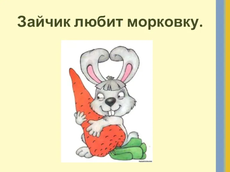 Зайчик любит морковку.