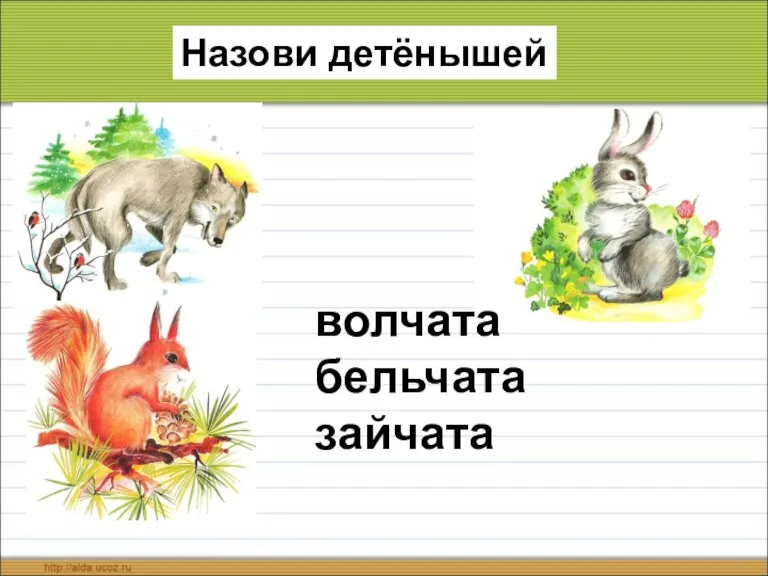 Назови детёнышей волчата бельчата зайчата