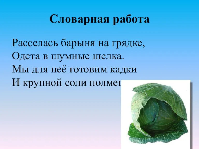 Словарная работа Расселась барыня на грядке, Одета в шумные шелка. Мы для