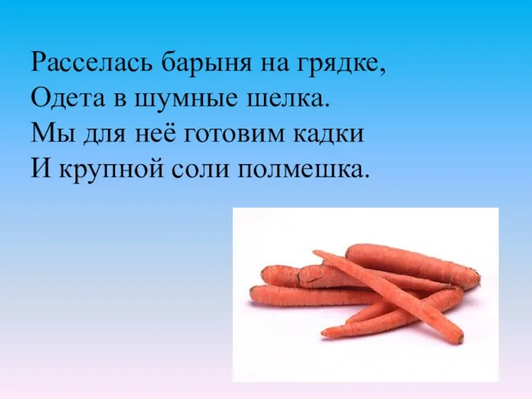 Расселась барыня на грядке, Одета в шумные шелка. Мы для неё готовим