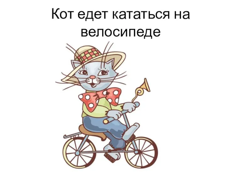 Кот едет кататься на велосипеде