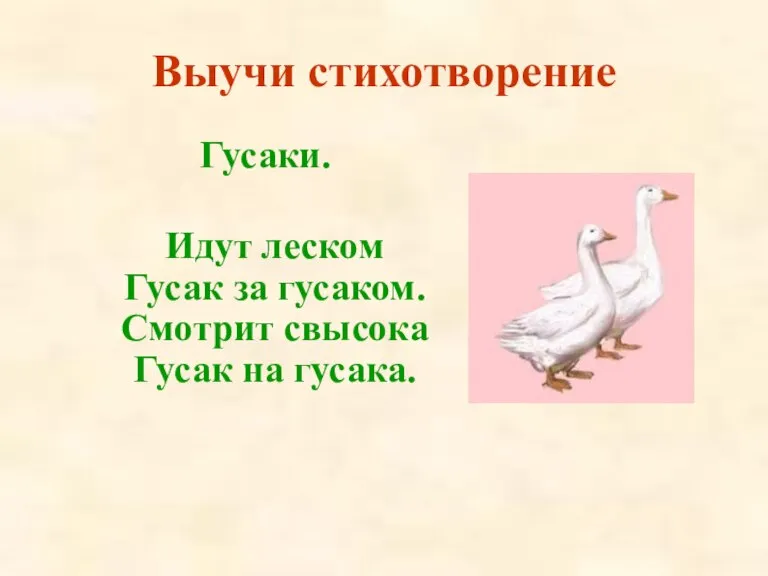 Выучи стихотворение Гусаки. Идут леском Гусак за гусаком. Смотрит свысока Гусак на гусака.