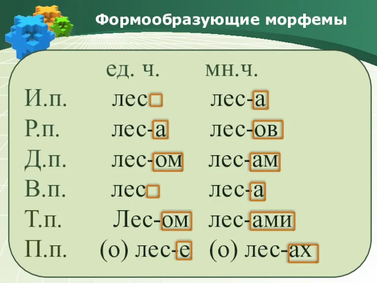 Формообразующие морфемы ед. ч. мн.ч. И.п. лес лес-а Р.п. лес-а лес-ов Д.п.